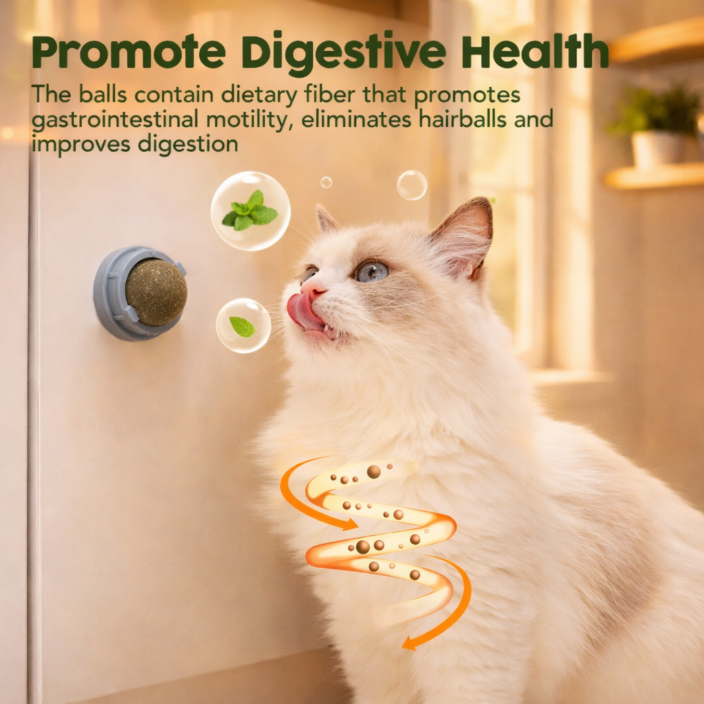 Catnip Balls for Cats 4 Pack, Silvervine & Gall Fruit Cat Toys, Edible Rotating Wall Mounted Catnip Toy, Dental Teeth Cleaning Lick Toy for Indoor Cats, Natural Kitty Treat Balls