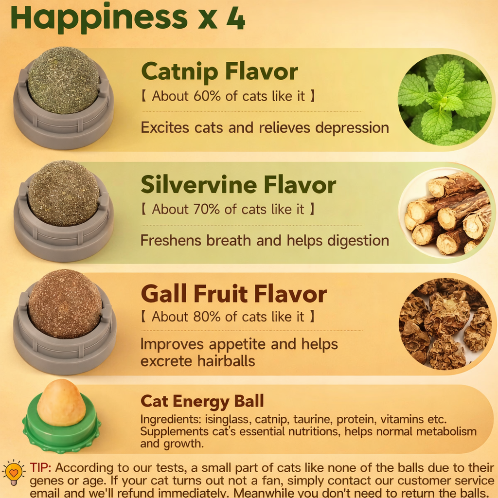 Catnip Balls for Cats 4 Pack, Silvervine & Gall Fruit Cat Toys, Edible Rotating Wall Mounted Catnip Toy, Dental Teeth Cleaning Lick Toy for Indoor Cats, Natural Kitty Treat Balls