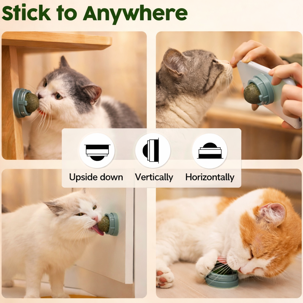 Catnip Balls for Cats 4 Pack, Silvervine & Gall Fruit Cat Toys, Edible Rotating Wall Mounted Catnip Toy, Dental Teeth Cleaning Lick Toy for Indoor Cats, Natural Kitty Treat Balls